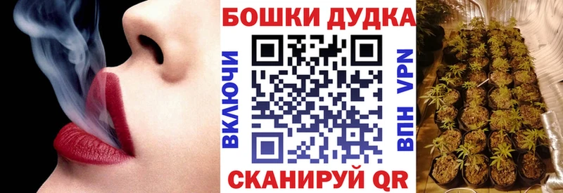 Шишки марихуана планчик Купить где Минусинск